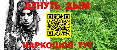 дмт Новозыбков