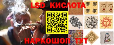 мяу мяу мука Новокубанск