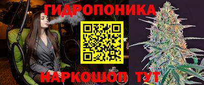 MDMA Новодвинск