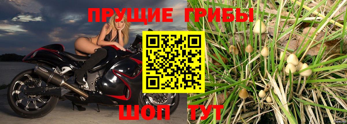 Галлюциногенные грибы Magic Shrooms Славгород